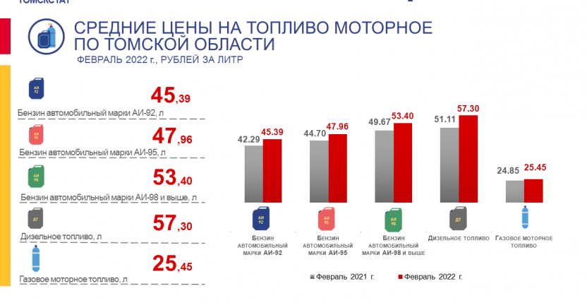 Средние цены на топливо моторное по Томской области за февраль 2022 г.